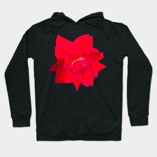 Velvety Rose Flower Hoodie